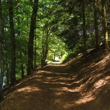 Maison De Caractere- Puy De Dome Feriehus *
